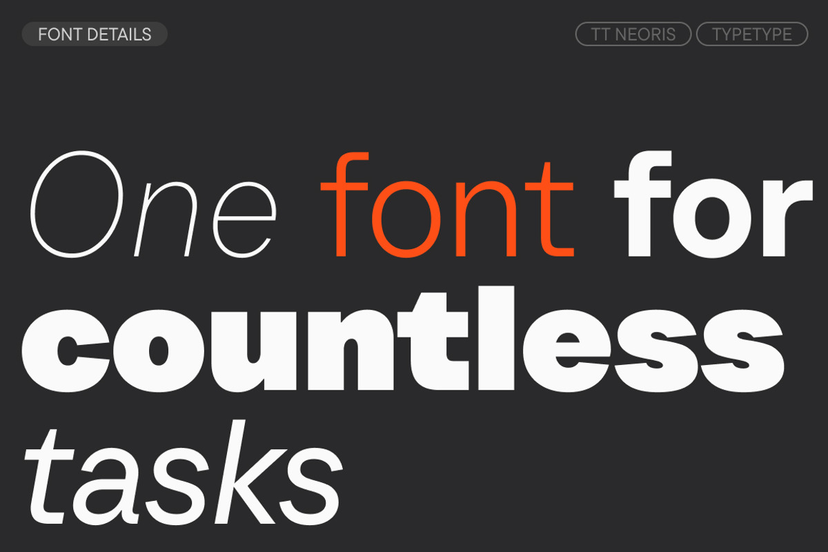 TT Neoris, a Sans Serif Font by TypeType (Photo 3 of 15)