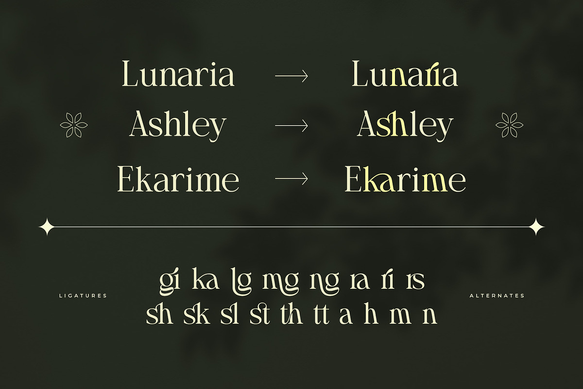 Arashy – Elegant Serif Font, a Serif Font by Almeera Std (Photo 2 of 6)