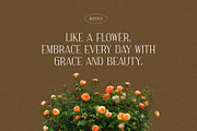 Hosline Modern Serif Font, a Serif Font by Perfectype (Thumbnail 2 of 10)