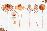Herbarium Master Collection, a Decorative Illustration by AlexGreenArt (Thumbnail 6 of 12)