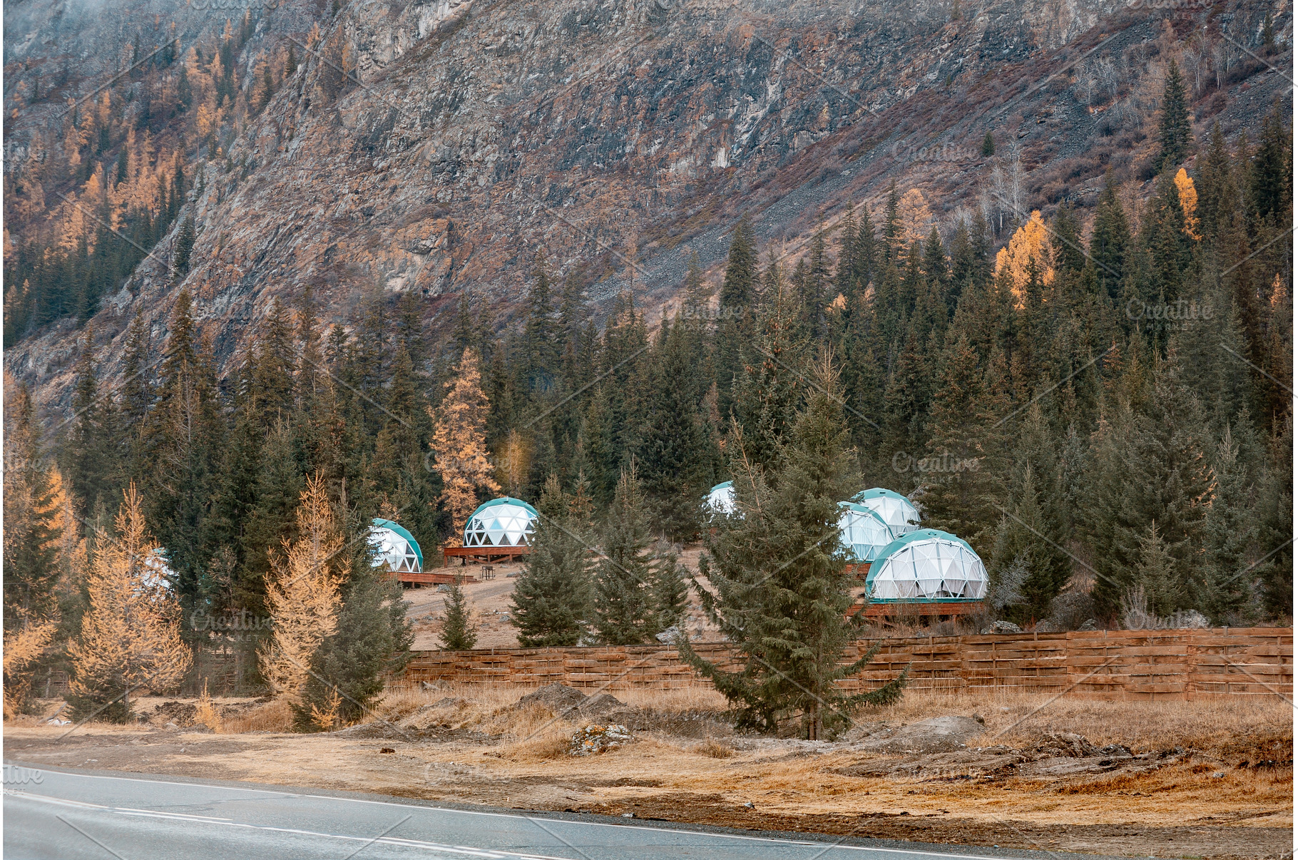 Geodesic Dome Structures in, an Animal Photo by Fascinadora