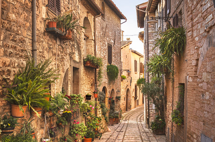 Spello picturesque street and plants, an Architecture Photo by Stefano Orazzini