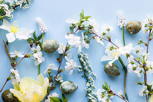 Easter flat lay. Stylish easter eggs, daffodils, tulip and cherr, a Holiday Photo by Sonjachni
