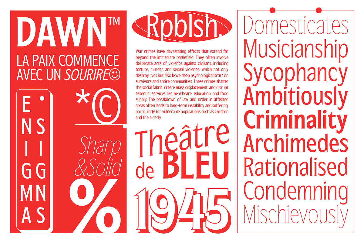 Republish Variable Font, a Serif Font by Abda Laka (Photo 5 of 21)