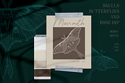 SKULLS, BUTTERFLIES AND ROSE HIP, a Texture Illustration by LanaDzi (Thumbnail 6 of 12)