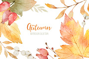 Autumn watercolor collection., a Decorative Illustration by Elena Medvedeva (Thumbnail 7 of 7)