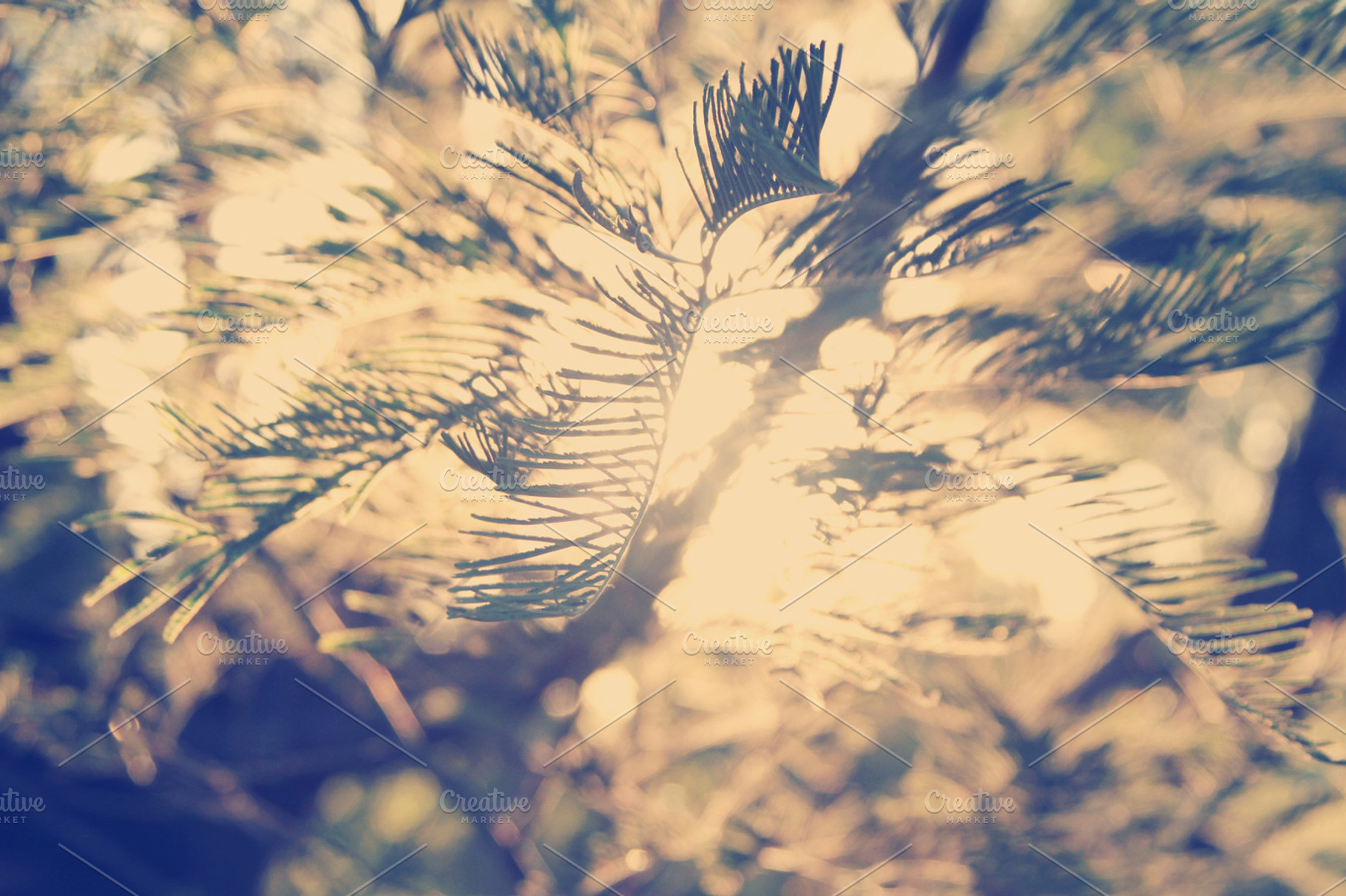 Nature Background Featuring Nature Background And Sun