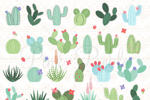 Cactus And Succulent Clipart Vectors