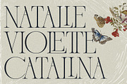 French Voyager - Chic Ligature Serif, a Serif Font by SilverStag Type Foundry (Thumbnail 6 of 23)
