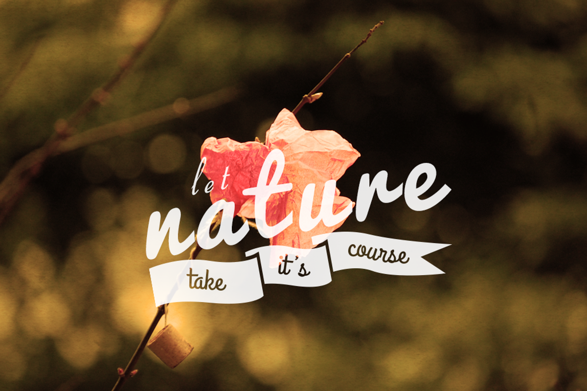 The Vintage LOGO Bundle 2, a Branding & Logo Template by Mayde (Photo 4 of 5)