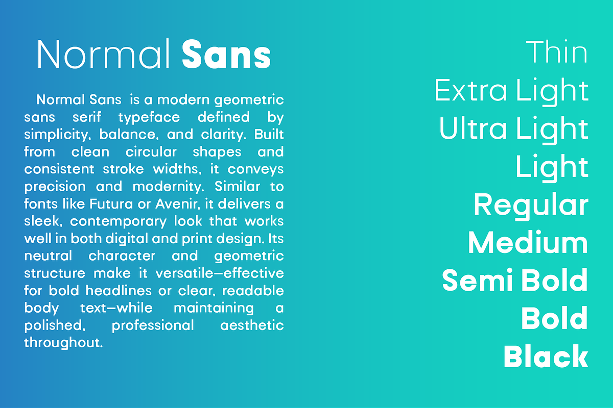 Normal Sans Geometric Font Family, a Font by PeanutButter Type (Photo 2 of 6)