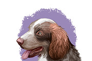 Puppies Dog Breeds Big Bundle 135Pcs, an Animal Illustration by Dneprstock (Thumbnail 44 of 68)