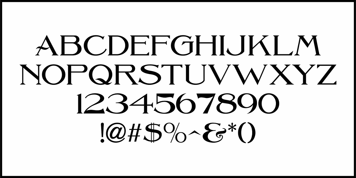 Sign Expert JNL, a Serif Font by Jeff Levine Fonts (Photo 3 of 5)