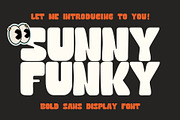 Sunny Funky Bold Display Font, a Sans Serif Font by Heinzel Std (Thumbnail 1 of 10)