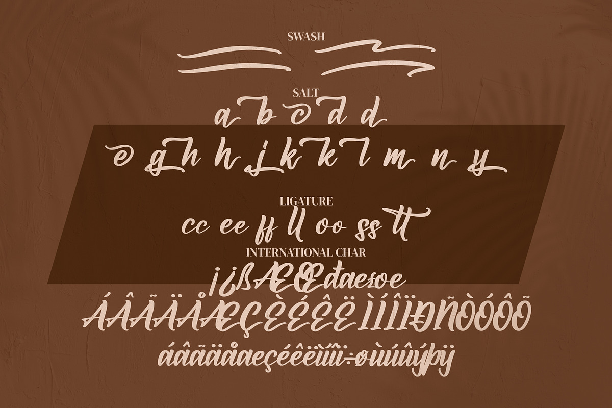 Amsaterdam Jungleria, a Script Font by Integritype Studio (Photo 9 of 10)