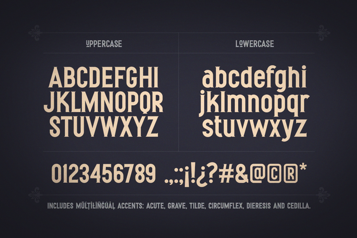 Ernesto Serif Vintage Style Font preview 2