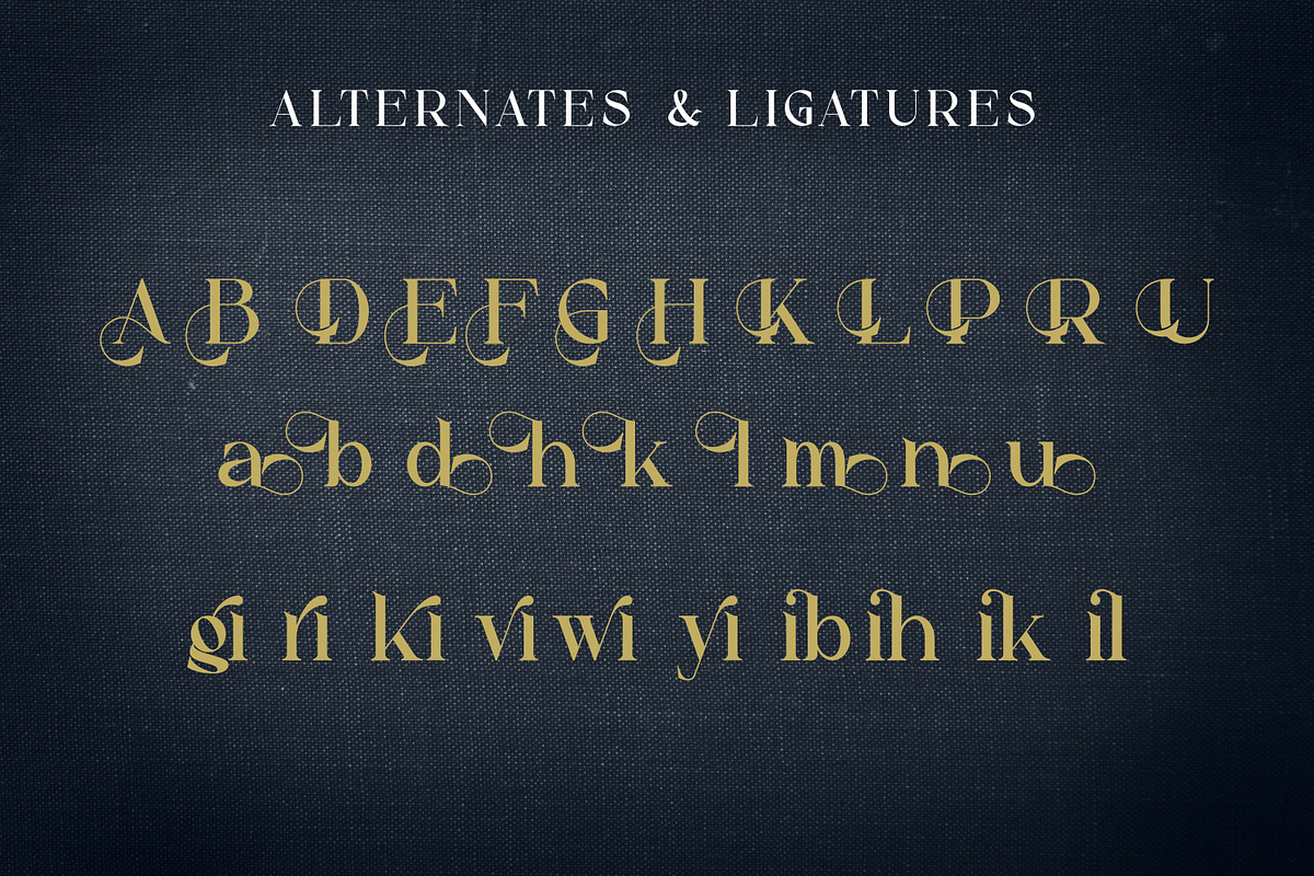 Alibold, a Serif Font by Rishsketch (Photo 12 of 14)