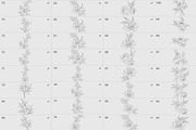 Procreate flower stamp, garden, a Brush Add-On by AnnaPolitmerskaja (Thumbnail 4 of 4)