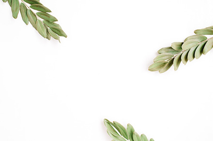 Leaf branch stock photo containing outdoor and minimal, an Arts & Entertainment Photo by Floral Deco