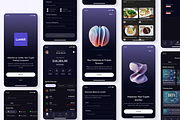 Lumbit - Crypto Wallet Premium APP, an UI Kit Template by Nait Creative (Thumbnail 3 of 7)