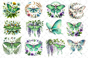 Botanical Floral Luna Moth Clipart, an Illustration by Dream Creation (Thumbnail 3 of 4)