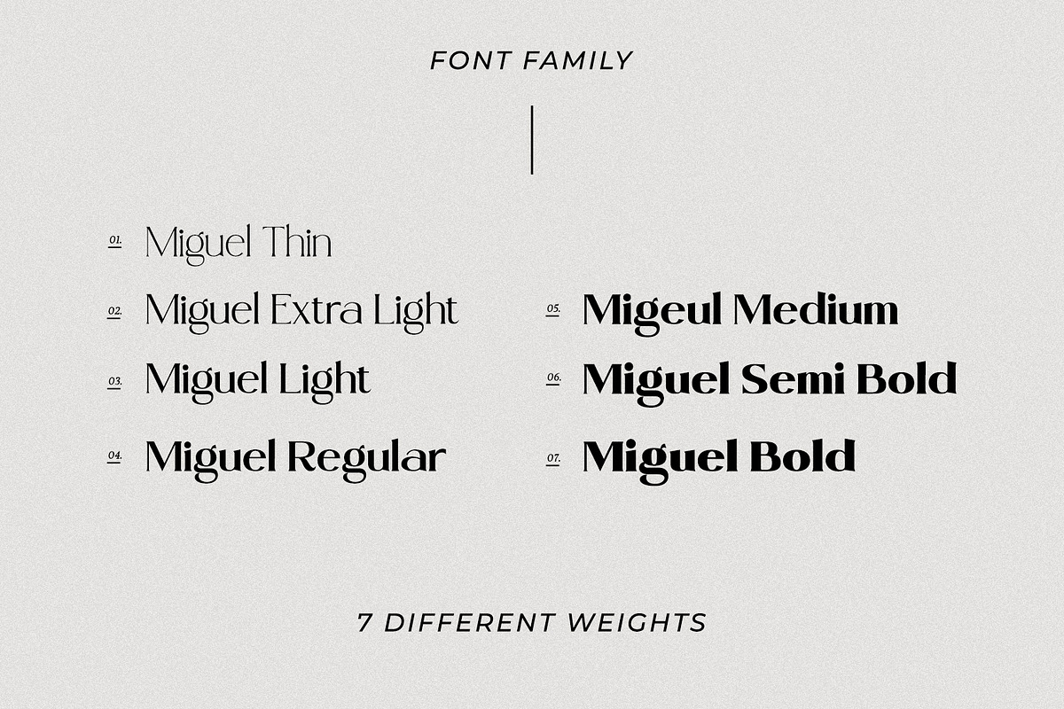 Miguel, a Serif Font by din-studio.com (Photo 5 of 11)