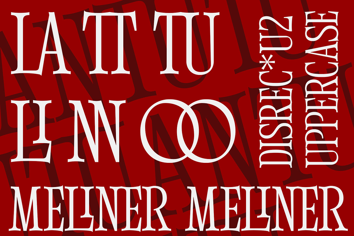 Meliner, a Serif Font by Dora Typefoundry (Photo 11 of 12)