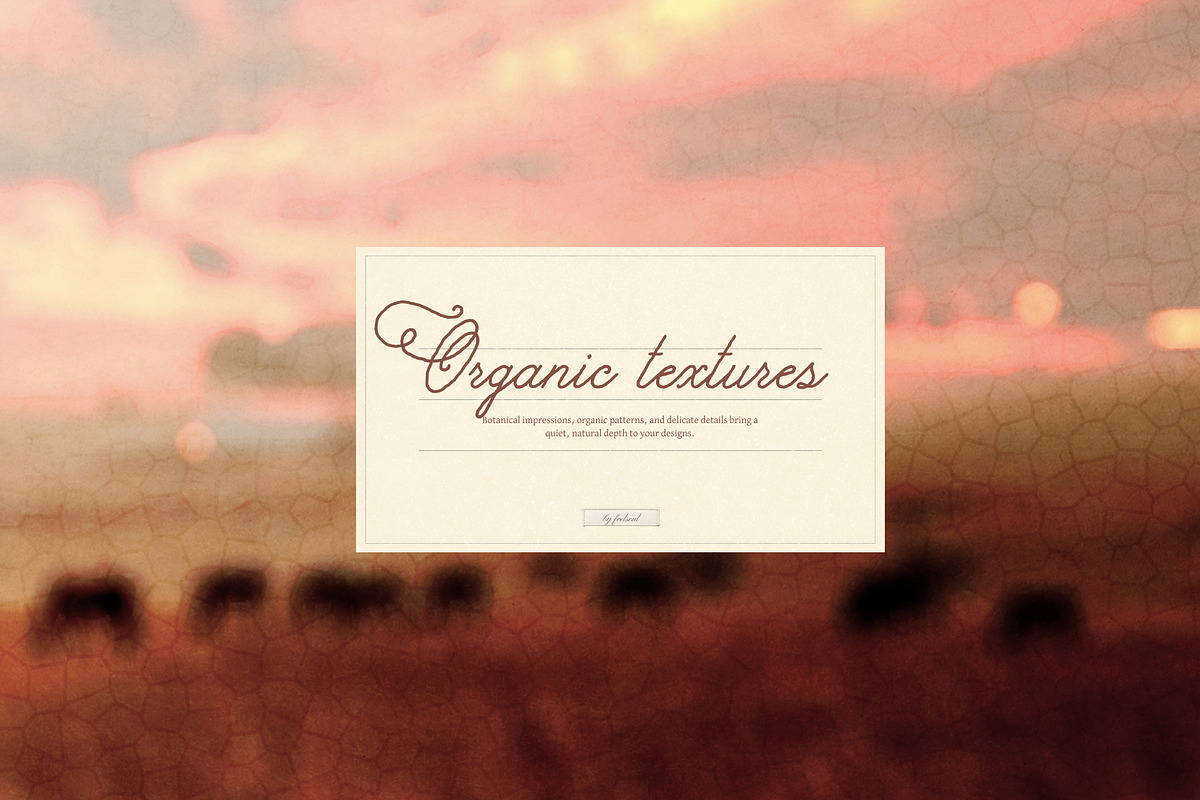 Fragments Texture Backgrounds, a Background Graphic by Feelsoul (Photo 5 of 10)