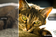 Lomography Lightroom Presets, a Plug-in Add-On by Contrastly Shop (Thumbnail 4 of 4)