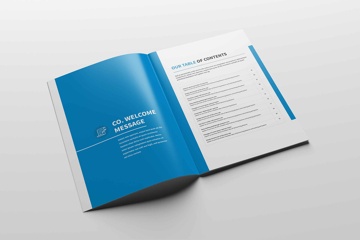 Annual Report Brochure, a Brochure Template by New Lines (Photo 5 of 13)