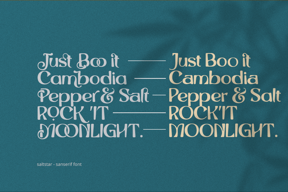 Saltstar Font, a Sans Serif Font by Grontype (Photo 11 of 12)