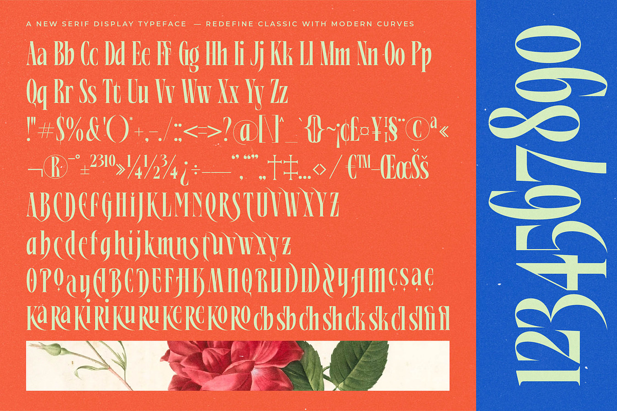 Alkemiogu Modern Serif Display, a Serif Font by timelesstype.co (Photo 15 of 15)