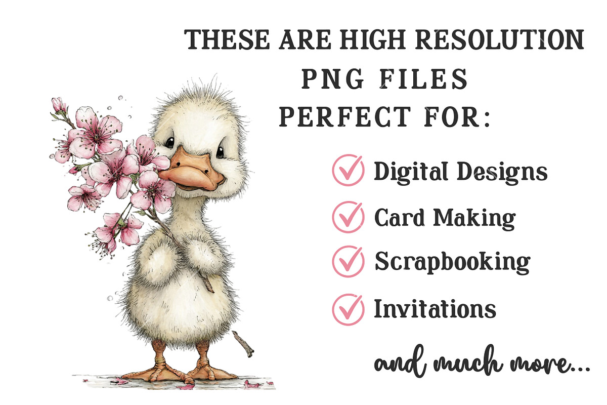 Whimsical Spring Goose Clipart, an Illustration by OK Design (Photo 5 of 6)