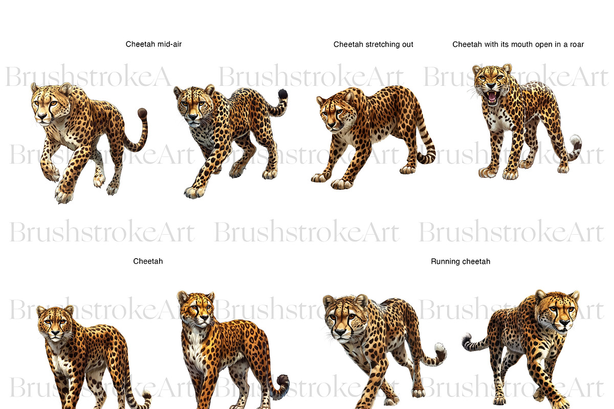 Cheetah Clipart, Wild Cat, Cheetah, an Animal Illustration by BrushstrokeArtGB (Photo 5 of 9)