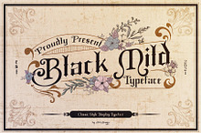 Black Mild Typeface