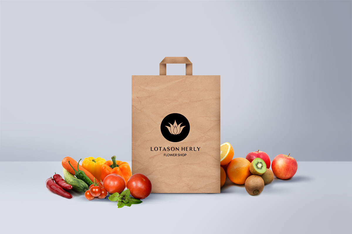 The Entrepreneur Premium Logo Pack, a Branding & Logo Template by AN Productions (Photo 79 of 97)