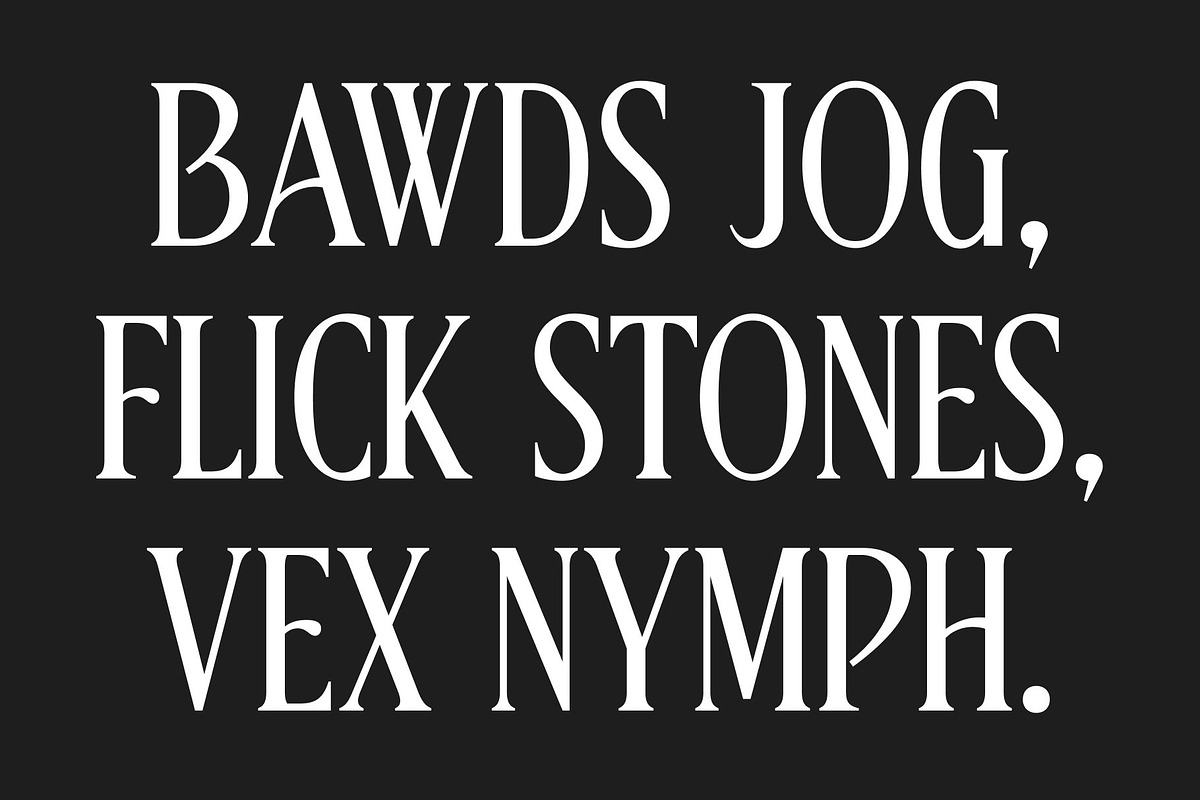 CS Bruna – Contemporary Font, a Serif Font by Craft Supply Co. (Photo 5 of 8)
