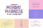 The HUGE Font Bundle (98% OFF) SALE, a Sans Serif Font by Salt & Pepper Designs (Thumbnail 139 of 185)