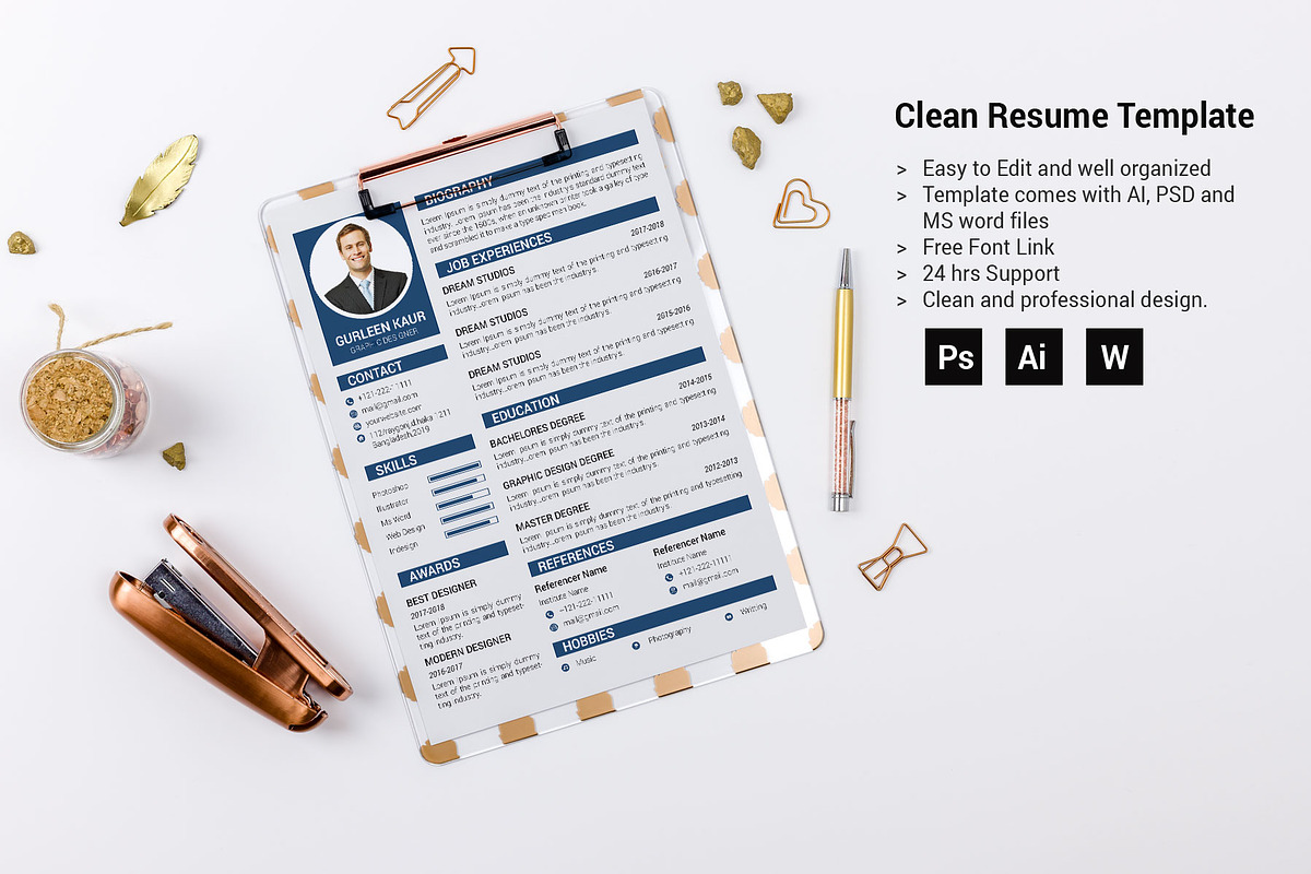 Professional Resume / CV Template, a Resume Template by designvillage (Photo 3 of 13)
