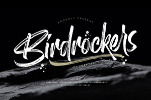 Birdrockers Realistic Brush Font