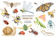 Watercolor Insects & Bugs Clipart, an Animal Illustration by ArtGiftsStudio (Thumbnail 1 of 4)