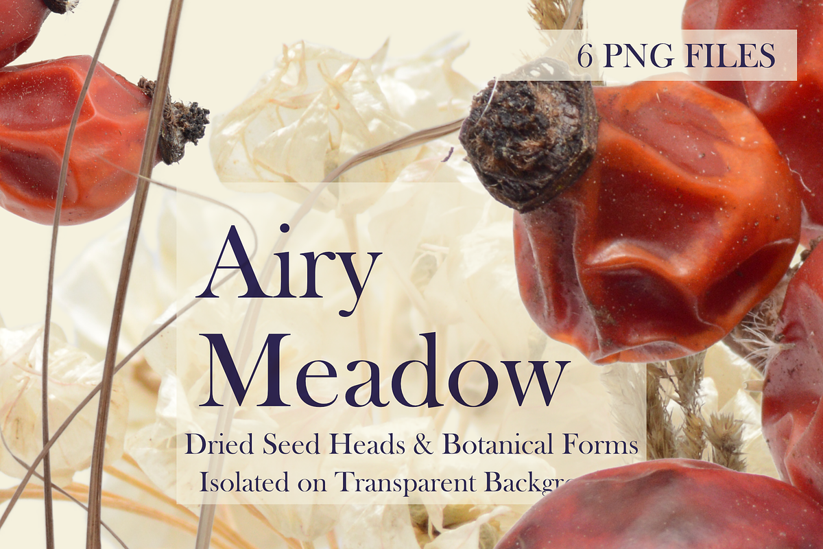 Airy Meadow — Dried Seed Heads PNG, an Object Graphic by Aga Silva (Photo 6 of 10)