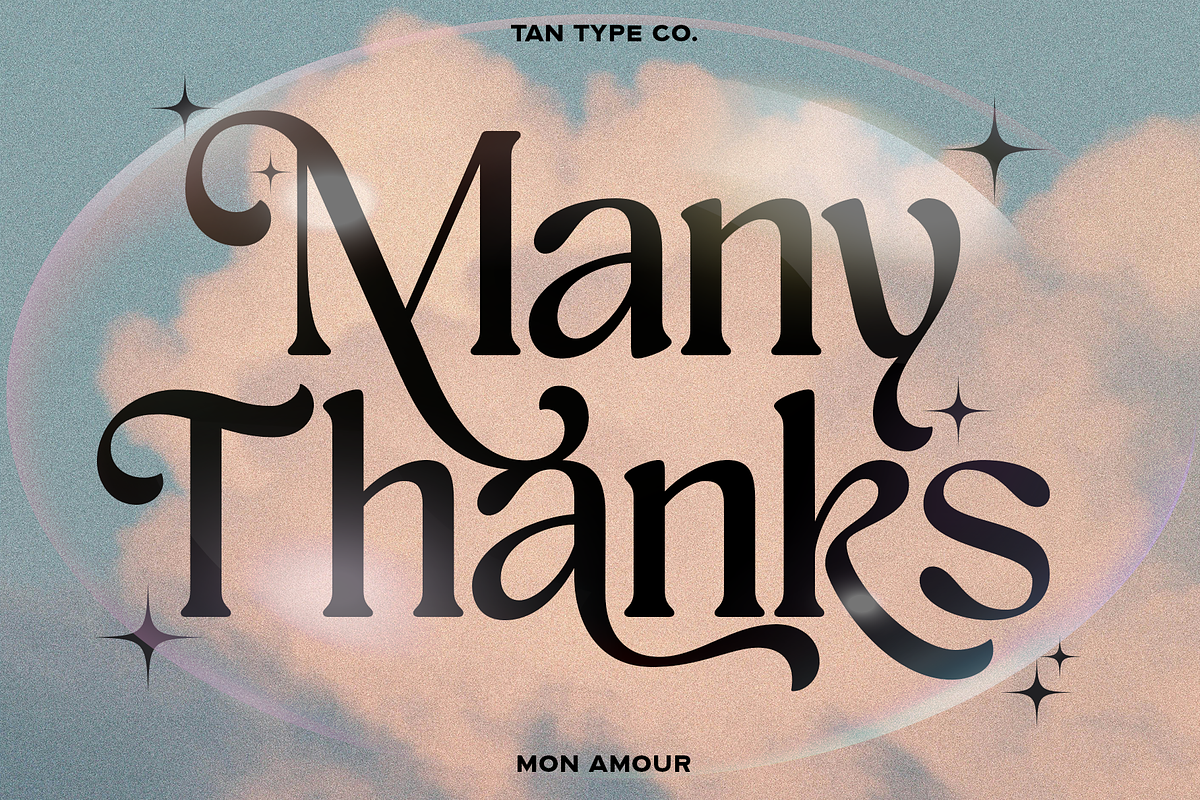 TAN - MON AMOUR, a Font by TanType (Photo 6 of 11)