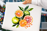 46 watercolor-citrus-fruit-clipart, an Illustration by GatewayDesign (Thumbnail 5 of 9)