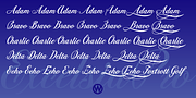 Excelsia Pro, a Script Font by Wiescher-Design (Thumbnail 6 of 11)