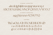 Milchella Beauty Elegant Serif, a Serif Font by Ronny Studio (Thumbnail 15 of 17)