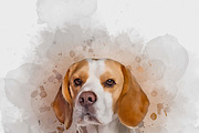 Watercolor Brush Portrait Action, an Action Add-On by MRI STUDIO (Thumbnail 5 of 16)