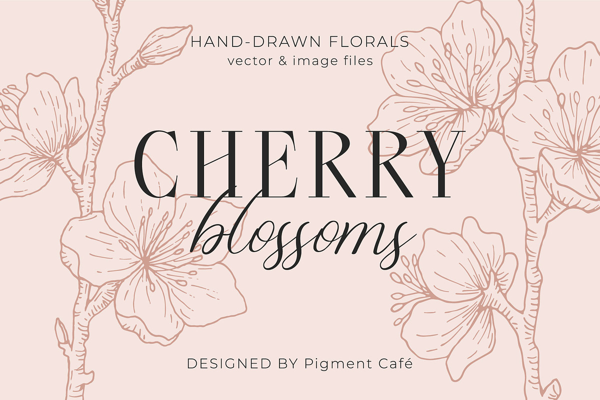 Cherry Blossoms Floral Art, a Decorative Illustration by Pigment Café (Photo 1 of 6)