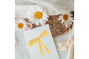 Whimsical Butter Yellow Bows clipart, a Decorative Illustration by Oleksandra Illustrates (Thumbnail 8 of 13)