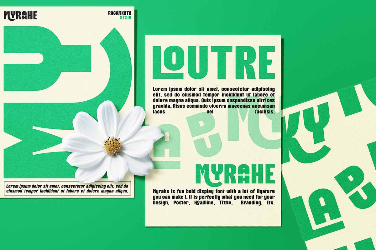 Myrahe - Bold Condensed Font, a Sans Serif Font by RagamKata (Photo 7 of 10)
